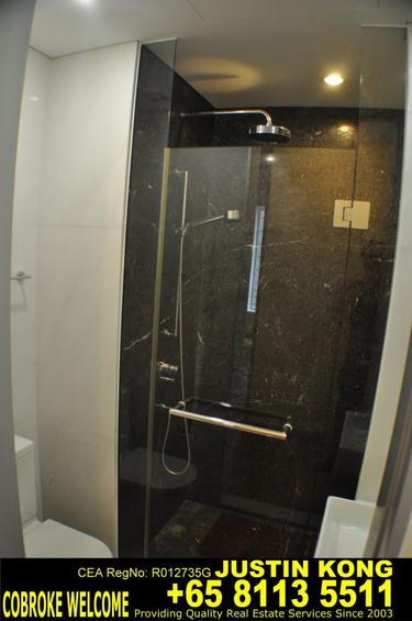 St. Regis Residences (D10), Apartment #75701022